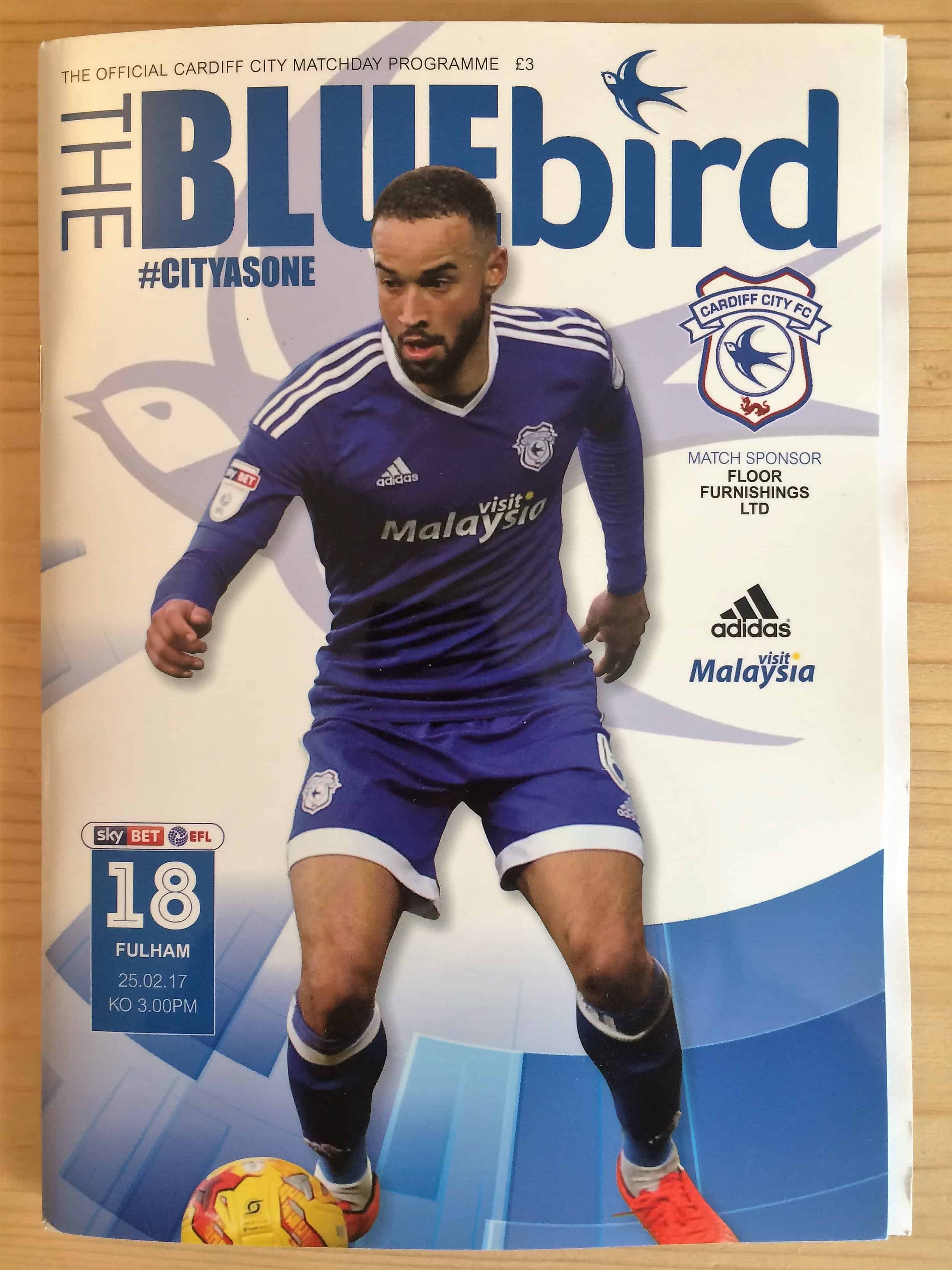 Cardiff City FC v Fulham FC